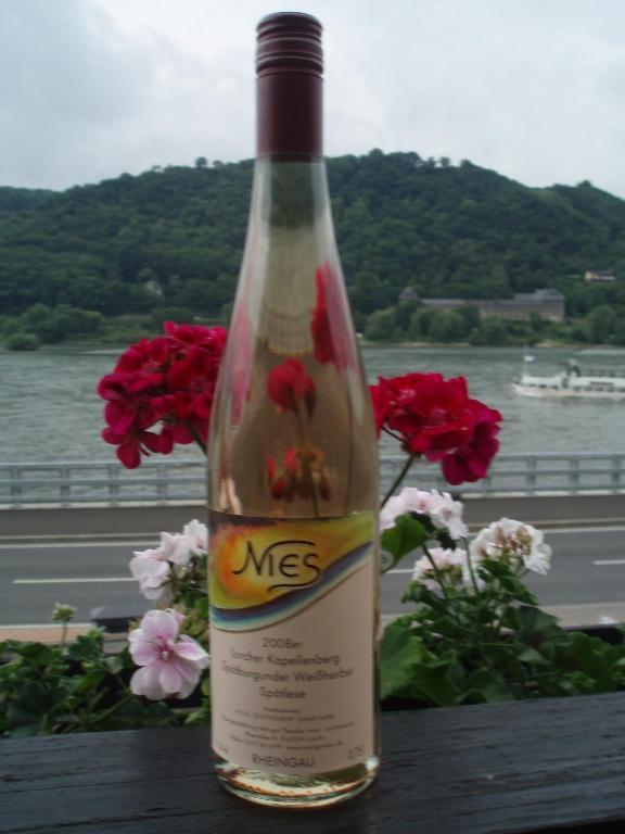 Apartamento Weingut Theodor Nies Lorch am Rhein Exterior foto
