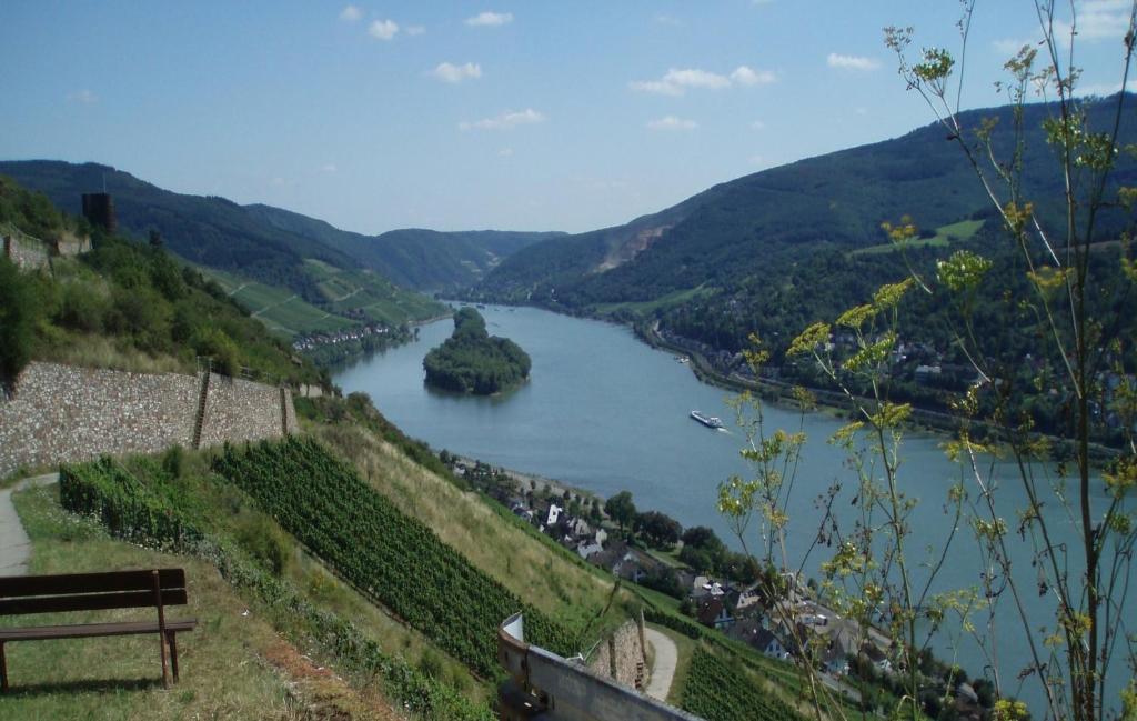 Apartamento Weingut Theodor Nies Lorch am Rhein Exterior foto