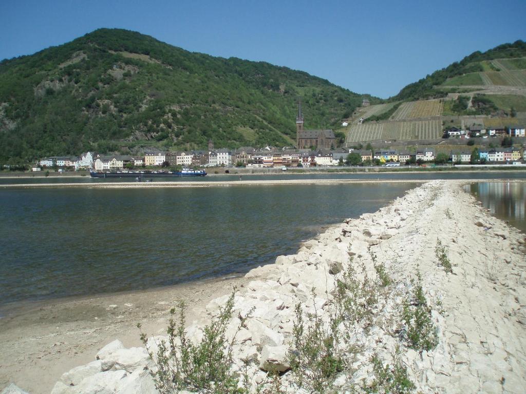 Apartamento Weingut Theodor Nies Lorch am Rhein Exterior foto